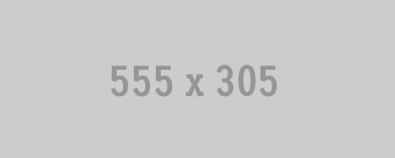 555×305